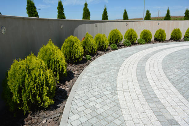 Best Best Driveway Pavers  in Prairie Creek, AR